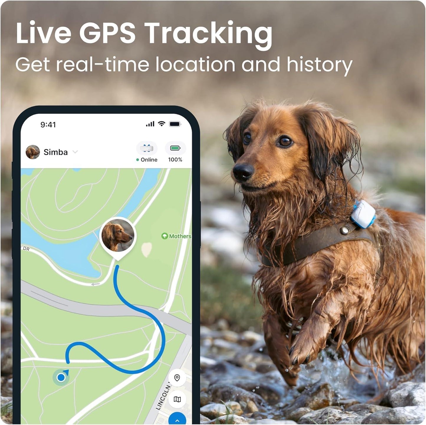 Tractive GPS Tracker &amp; Health Monitoring for Dogs - Market Leading Pet GPS Location Tracker