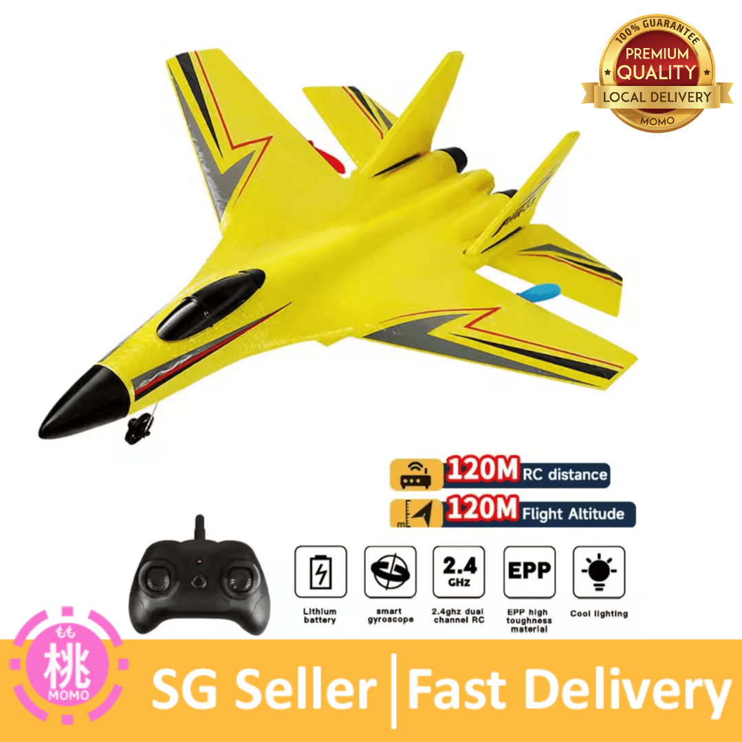 RC Plane Aircraft Remote Control Helicopter 2.4G Airplane EPP Foam RC Vertical Plane