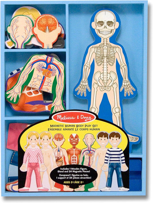 Melissa & Doug Magnetic Human Body Play Set - Momo Gadgets