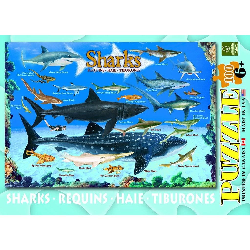 EuroGraphics Kids Sharks 100 Piece Jigsaw Puzzle - Momo Gadgets