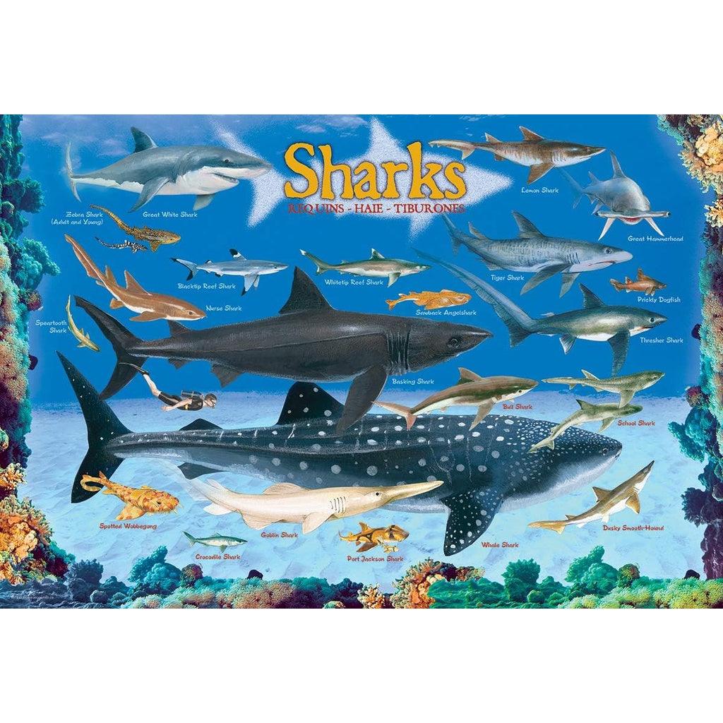 EuroGraphics Kids Sharks 100 Piece Jigsaw Puzzle - Momo Gadgets