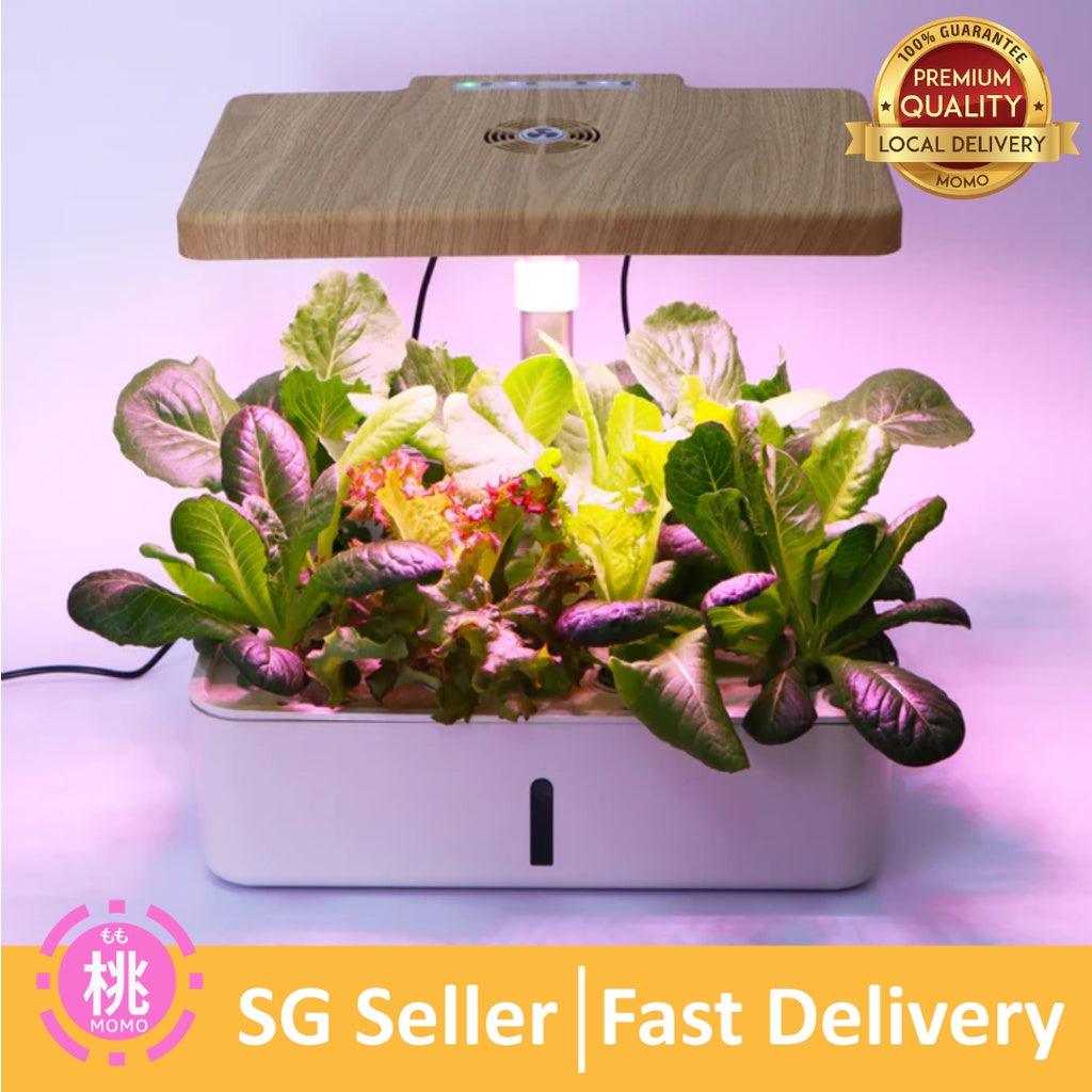 Intelligent Soilless Cultivation aerogarden Flower Pot Hydroponic Planter Indoor Vegetable Plant Pot - Momo Gadgets