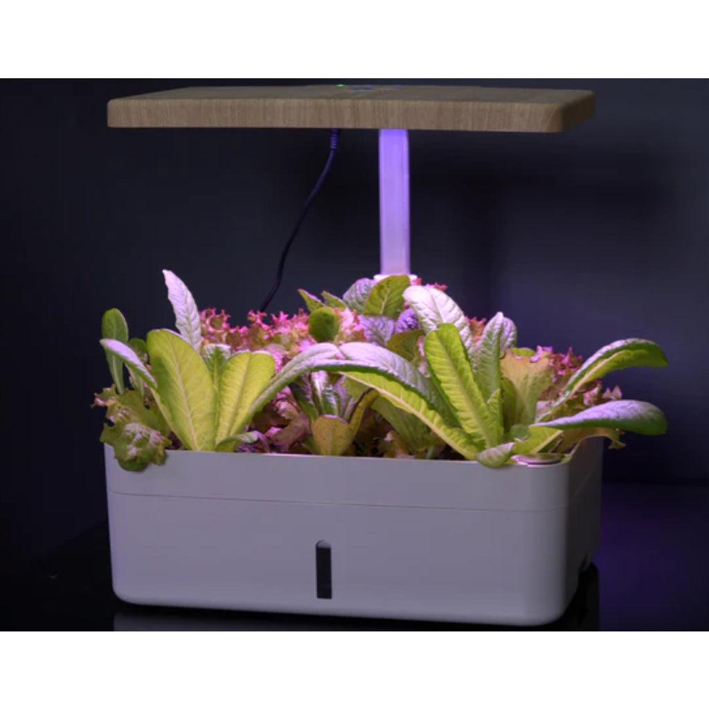 Intelligent Soilless Cultivation aerogarden Flower Pot Hydroponic Planter Indoor Vegetable Plant Pot - Momo Gadgets