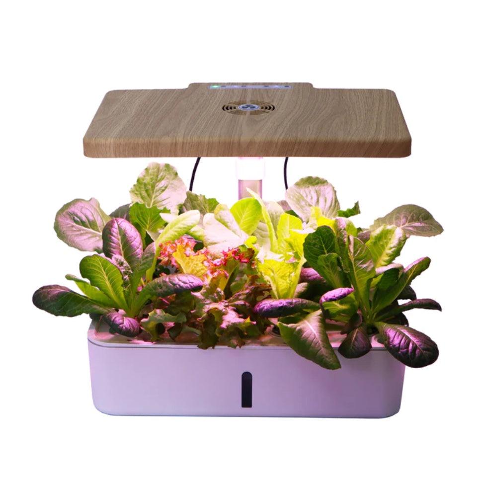 Intelligent Soilless Cultivation aerogarden Flower Pot Hydroponic Planter Indoor Vegetable Plant Pot - Momo Gadgets