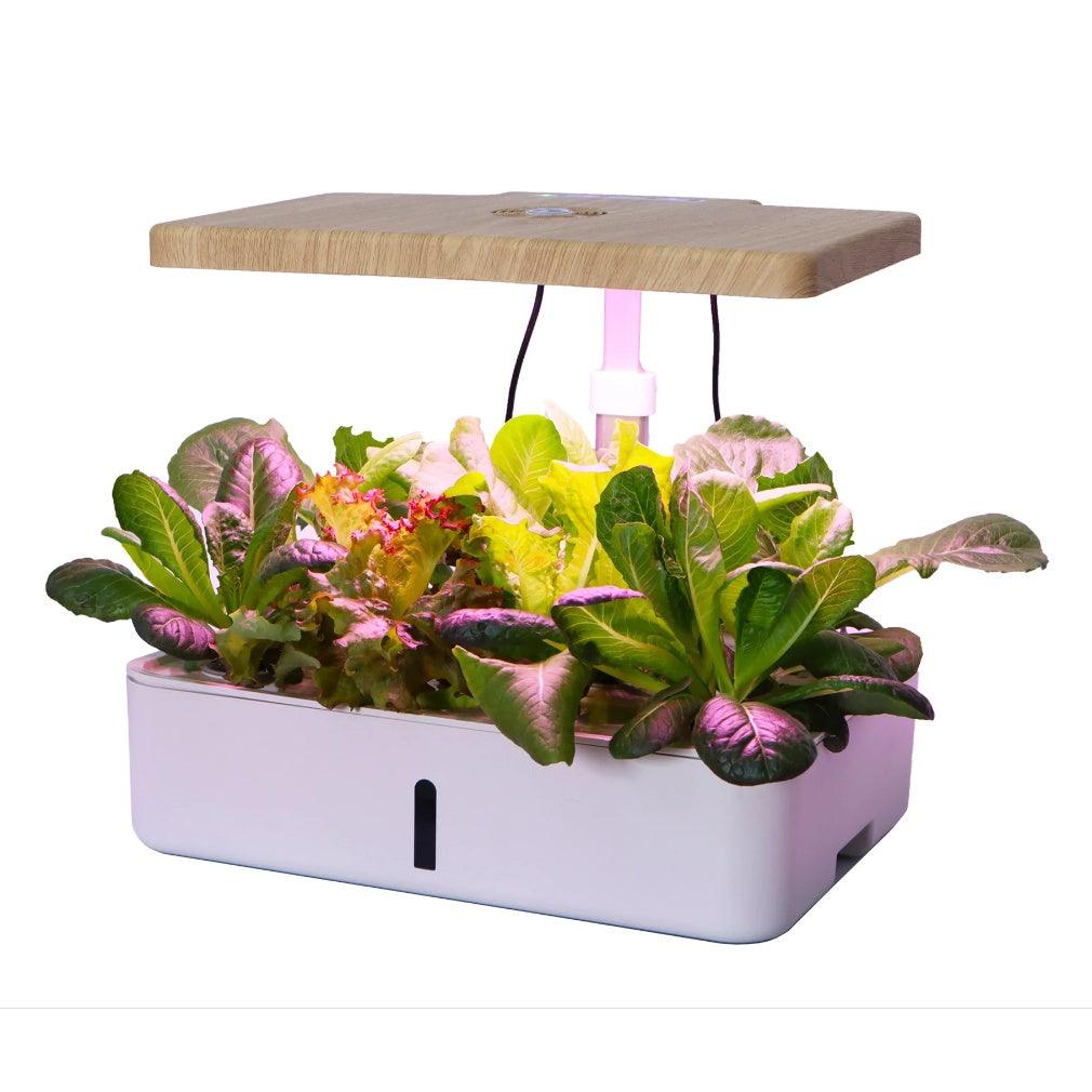 Intelligent Soilless Cultivation aerogarden Flower Pot Hydroponic Planter Indoor Vegetable Plant Pot - Momo Gadgets