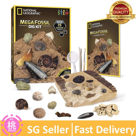 NATIONAL GEOGRAPHIC Mega Fossil Dig Kit – Excavate 15 Real Fossils Including Dinosaur Bones & Shark Teeth - Momo Gadgets