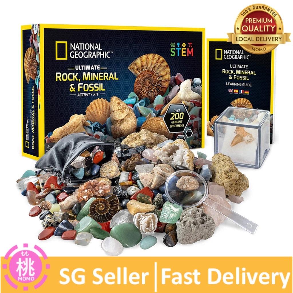 Momos Rocks Explore Cutting-Edge Gadgets and Game Haven – Momo Gadgets
