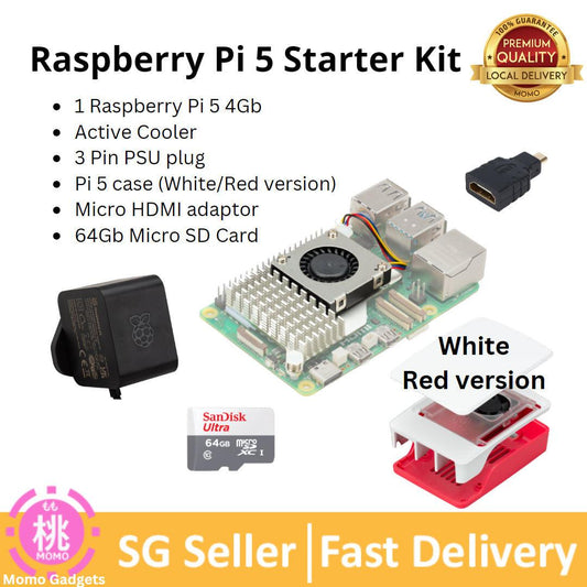Raspberry Pi 5 Starter Kit 4Gb - Momo Gadgets