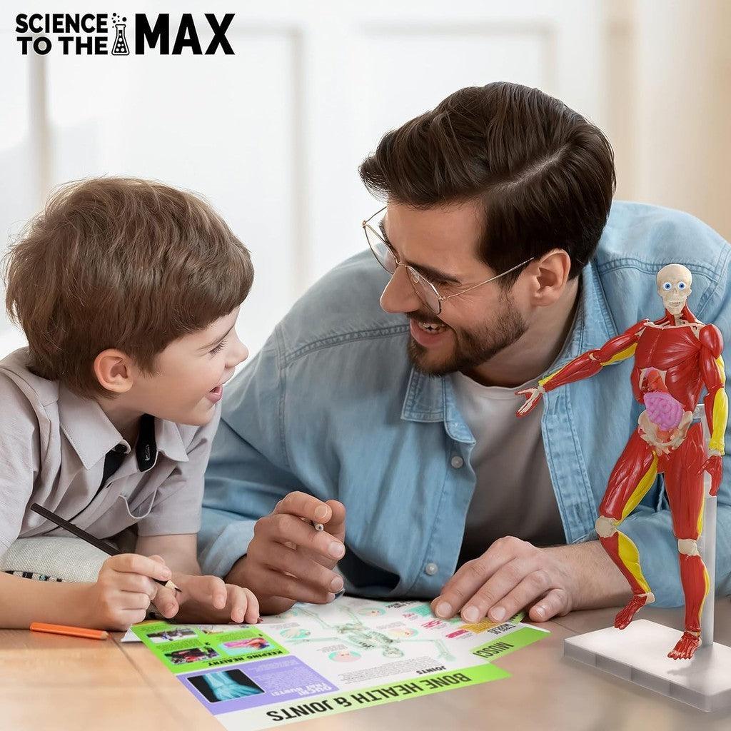 Be Amazing! Toys Interactive Human Body - 60 Piece Fully Poseable Anatomy Figure – 14” Tall Model - Anatomy Kit