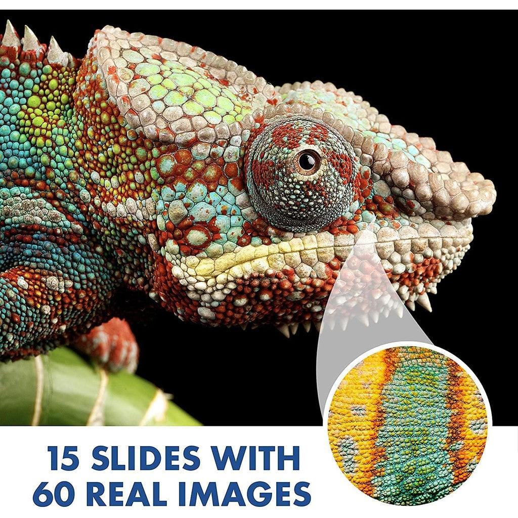 Educational Insights GeoSafari Jr. Kidscope, Kids Microscope, STEM Toy, Gift for Boys & Girls, Ages 5+
