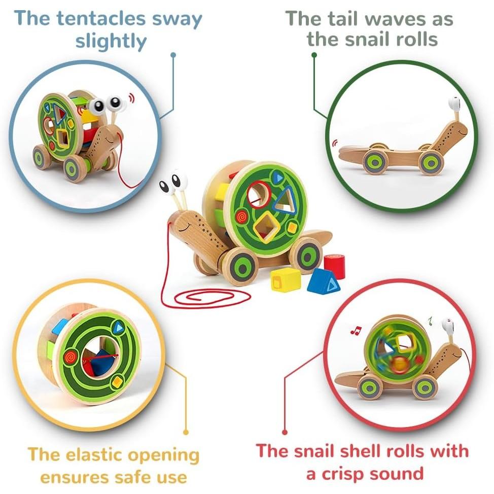 Award Winning Hape Walk-A-Long Snail Toddler Wooden Pull Toy