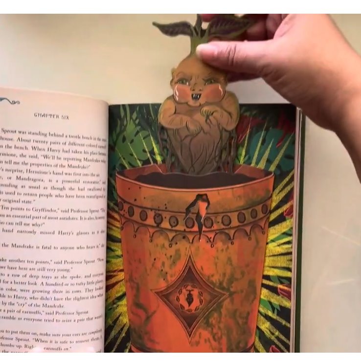 Harry Potter and the Chamber of Secrets (Harry Potter, Book 2) (Minalima Edition): Volume 2 Hardcover – Illustrated