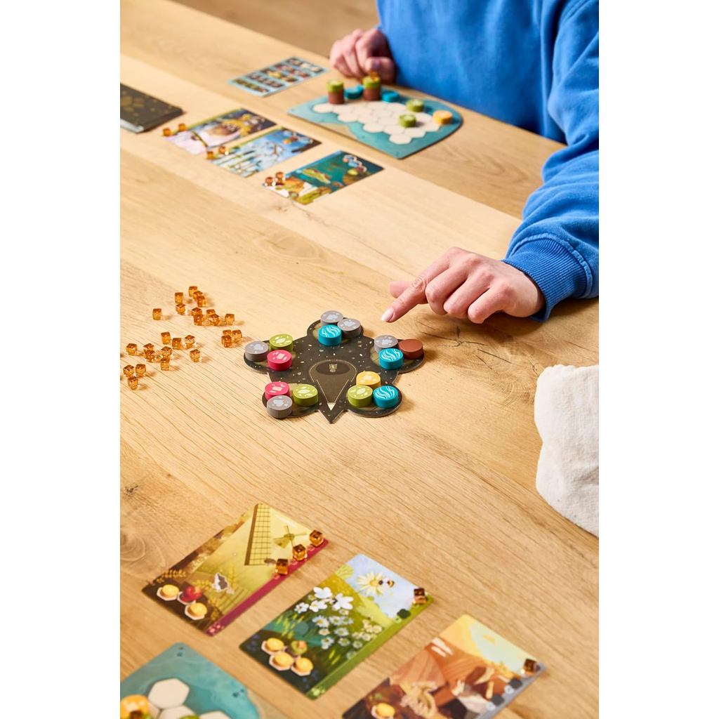 Harmonies Board Game - Kids & Adults, Ages 10+, 1-4 Players, 30 Min Playtime, (Multilingual Edition)