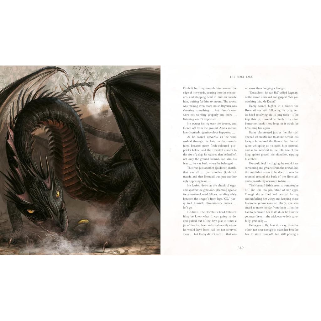 Harry Potter and the Goblet of Fire: Illustrated Edition: 4