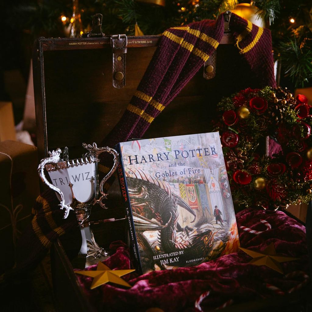 Harry Potter and the Goblet of Fire: Illustrated Edition: 4